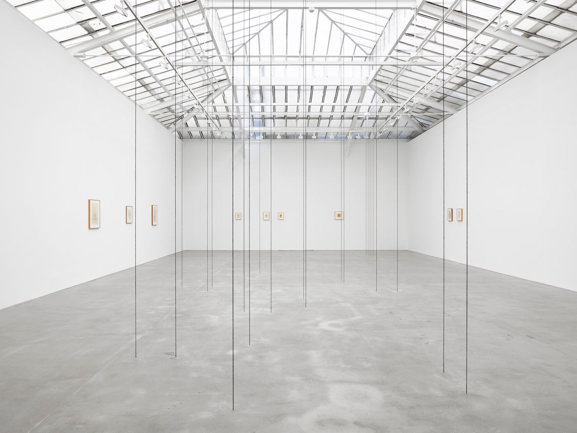 Alberto Giacometti & Fred Sandback