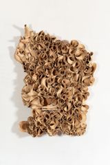 Ninho Comunal 14 by Laura Lima contemporary artwork sculpture