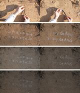 Nostalgia of Red Fire Ant I Dont Belong Here I Dont Belong There by Liu Shuai contemporary artwork moving image