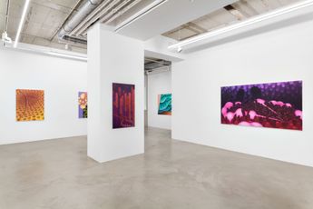 Contemporary art exhibition Maike Illies subkutan at SETAREH SETAREH Dusseldorf Germany