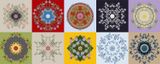 A Heaven in a Wild Flower by Kevin Abosch contemporary artwork moving image