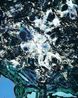 Foresight No.10 No. 10 by Jiang Pengyi contemporary artwork Mixed Media