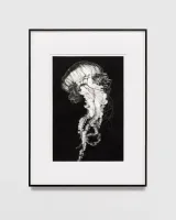 Study of God Jellyfish by Robert Longo contemporary artwork drawing works on paper