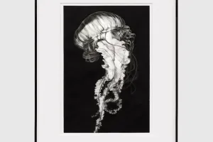 Robert Longo