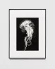 Study of God Jellyfish by Robert Longo contemporary artwork Works on Paper