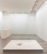 ROOM by Dorothy Cross contemporary artwork installation