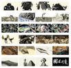 Preview of Magic of Atlas by Sun Xun contemporary artwork Moving Image