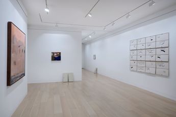 Contemporary art exhibition Jared Ginsburg All the things you are at Goodman Gallery New York United States