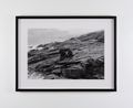 Erratic by Dorothy Cross contemporary artwork Photography