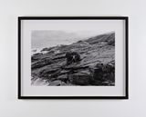 Erratic by Dorothy Cross contemporary artwork photography