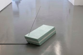 Sena Basoz contemporary artist