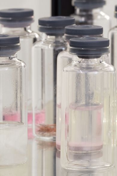 Making Scents: Why Olfactory Art Is Having a Moment