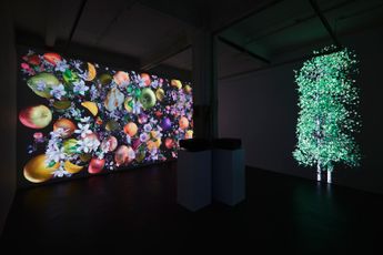 Contemporary art exhibition Jennifer Steinkamp Still-Life at Lehmann Maupin Hong Kong