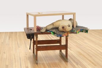 Liz Magor contemporary artist