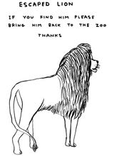 Untitled Escaped Lion by David Shrigley contemporary artwork works on paper drawing