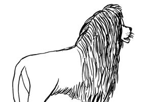 David Shrigley