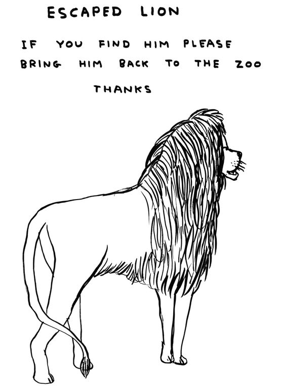 Untitled Escaped Lion by David Shrigley contemporary artwork Works on Paper