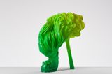 Shoeform Tresses by Patricia Piccinini contemporary artwork sculpture