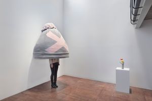 Erwin Wurm