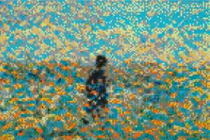 Ai Weiwei