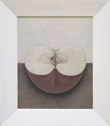 Portrait - Apple No. 2 by Fan Shao contemporary artwork painting