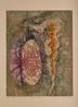 Two Forms In One  Bull  Man by Krishna Reddy contemporary artwork Print
