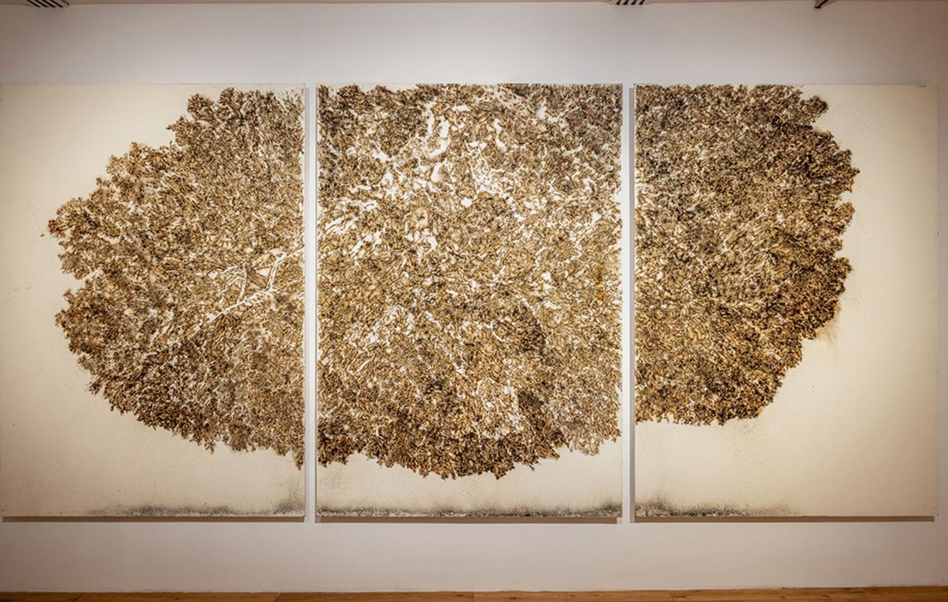 Jayashree Chakravarty, Nikhil Chopra, Martha Fiennes, Subodh Gupta, Anish Kapoor, Dhruv Malhotra