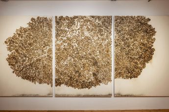 Contemporary art exhibition Jayashree Chakravarty Nikhil Chopra Martha Fiennes Subodh Gupta Anish Kapoor Dhruv Malhotra MIRROR MAZE Echoes of song space spectre at Kiran Nadar Museum of Art New Delhi India