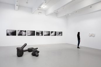 Contemporary art exhibition Anna Maria Maiolino ERRANCIA POETICA POETIC WANDERINGS at Hauser  Wirth New York 22nd Street United States
