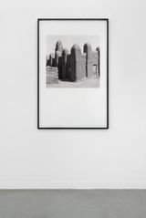 The Shape of Things Female by Carrie Mae Weems contemporary artwork photography