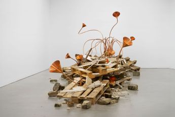 Rebecca Horn contemporary artist