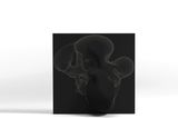 Quadro.relevo by Angelo Venosa contemporary artwork sculpture
