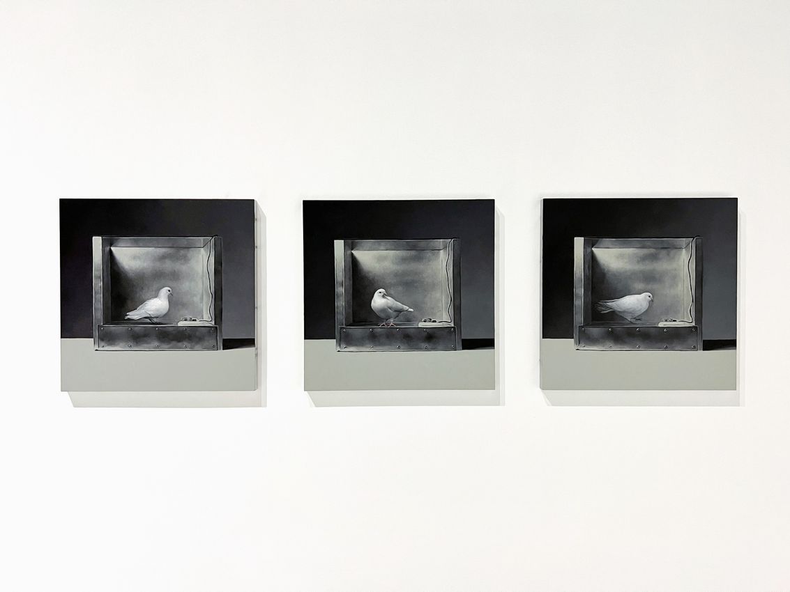 MAT COLLISHAW
