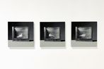 Mat Collishaw contemporary artist