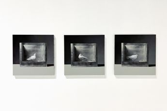 Mat Collishaw contemporary artist