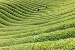 Zhejiang 5 Water and Earth China by Tugo Cheng contemporary artwork Photography