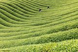 Zhejiang 5 Water and Earth China by Tugo Cheng contemporary artwork photography print