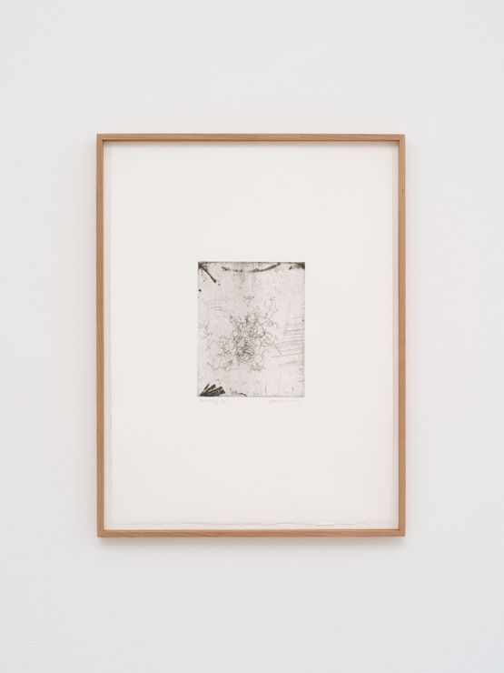 Tychoscope Etchings Wednesday by Eric Baudelaire contemporary artwork Print