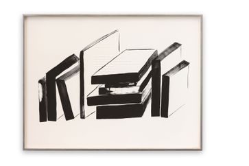 Eva Schlegel contemporary artist