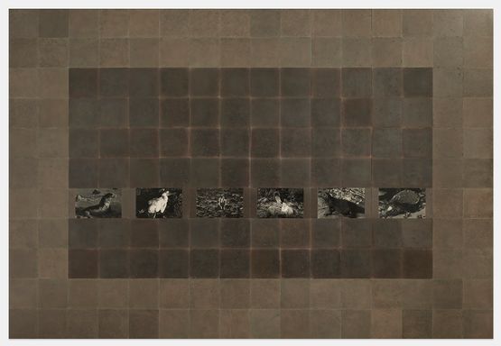 Islas Encantas Seymour Island Cycle by Michelle Stuart contemporary artwork Photography