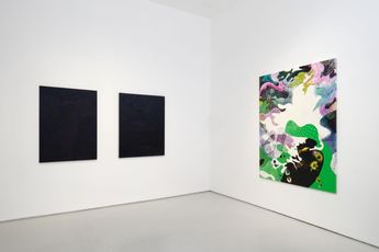 Contemporary art exhibition Gwen Hollingsworth  Christine Turner Frequency Illusion at Roberts Projects Los Angeles United States