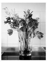 o.T. 5 by Benjamin Katz contemporary artwork photography