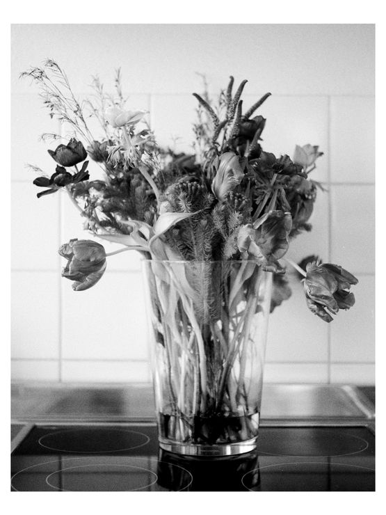 o.T. 5 by Benjamin Katz contemporary artwork Photography