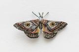 Mariposa  Moth by Efrain Almeida contemporary artwork sculpture