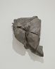 Body of the Gaze Semi-Sculpture - Wall 1 by Shigeo Toya contemporary artwork Painting