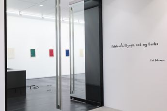 Contemporary art exhibition Kei Takemura Madeleine. V Olympic and my Garden at Taka Ishii Gallery Complex665 Tokyo Japan