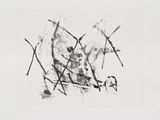 Codex Monotypes 13 by Julie Mehretu contemporary artwork painting