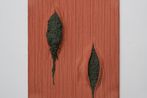 Jiwoo Yoon contemporary artist