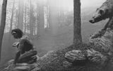 Homo Erectus by Hiroshi Sugimoto contemporary artwork photography
