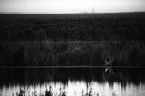 Waiting by Talib Almarri contemporary artwork photography print